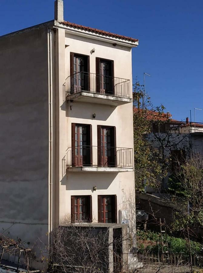 Piso Alonia Hotel Arachova Exterior photo